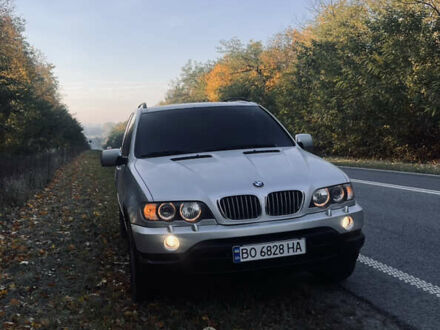 Сірий БМВ Х5, об'ємом двигуна 3 л та пробігом 390 тис. км за 10000 $, фото 1 на Automoto.ua