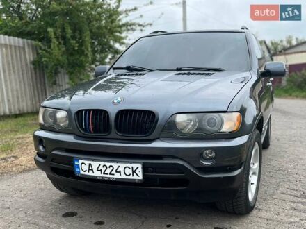 БМВ Х5 2002 в Полтаве на Automoto.ua Серый БМВ Х5, объемом двигателя 3 л и пробегом 373 тыс. км за 7700 $, фото 1 на Automoto.ua
