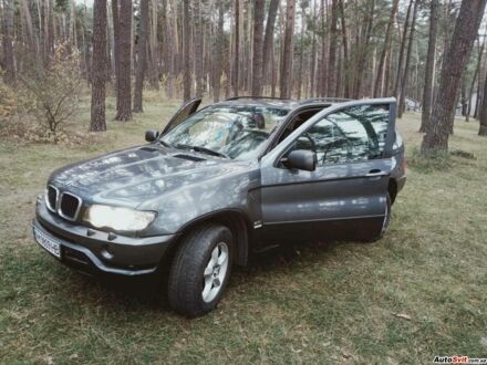 БМВ Х5 2002 у Житомирі на Automoto.ua Сірий БМВ Х5, об'ємом двигуна 3 л та пробігом 315 тис. км за 7900 $, фото 1 на Automoto.ua