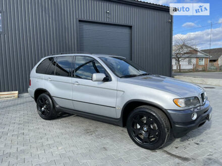 БМВ Х5 2003 у Дубно на Automoto.ua Сірий БМВ Х5, об'ємом двигуна 3 л та пробігом 300 тис. км за 8200 $, фото 1 на Automoto.ua