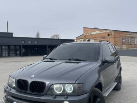 БМВ Х5 2003 в Нововолынск на Automoto.ua Серый БМВ Х5, объемом двигателя 2.9 л и пробегом 370 тыс. км за 8900 $, фото 1 на Automoto.ua