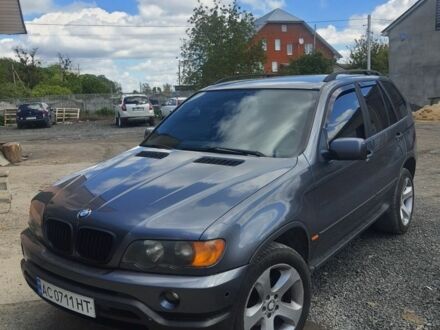 БМВ Х5 2003 в Луцке на Automoto.ua Серый БМВ Х5, объемом двигателя 2.9 л и пробегом 360 тыс. км за 5000 $, фото 1 на Automoto.ua