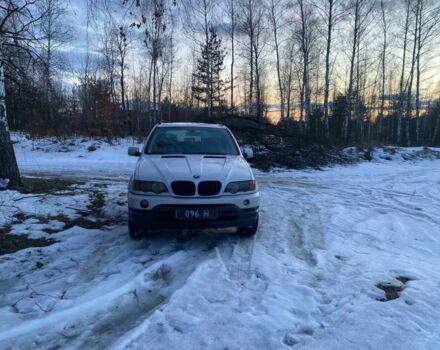 Серый БМВ Х5, объемом двигателя 3 л и пробегом 328 тыс. км за 3999 $, фото 1 на Automoto.ua