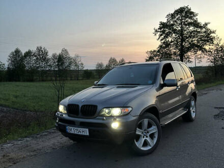 Серый БМВ Х5, объемом двигателя 3 л и пробегом 450 тыс. км за 9500 $, фото 1 на Automoto.ua