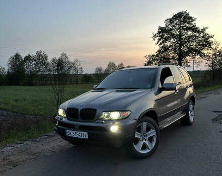 Серый БМВ Х5, объемом двигателя 3 л и пробегом 450 тыс. км за 9500 $, фото 1 на Automoto.ua