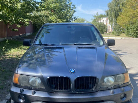 Серый БМВ Х5, объемом двигателя 3 л и пробегом 366 тыс. км за 5000 $, фото 1 на Automoto.ua