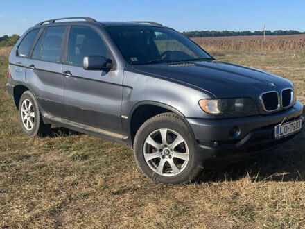 Серый БМВ Х5, объемом двигателя 3 л и пробегом 320 тыс. км за 4500 $, фото 1 на Automoto.ua