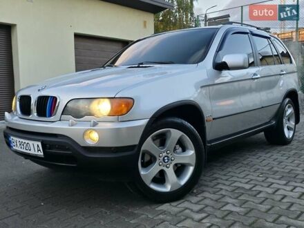 БМВ Х5 2003 в Хмельницком на Automoto.ua Серый БМВ Х5, объемом двигателя 3 л и пробегом 295 тыс. км за 7999 $, фото 1 на Automoto.ua