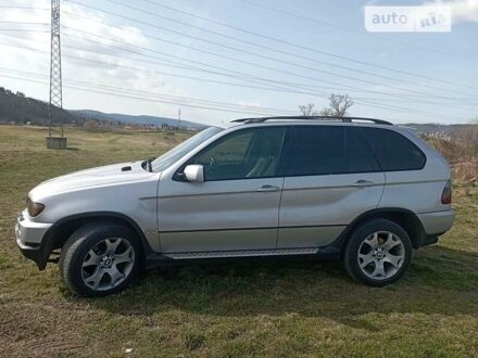 БМВ Х5 2003 у Буске на Automoto.ua Сірий БМВ Х5, об'ємом двигуна 2.9 л та пробігом 420 тис. км за 8000 $, фото 1 на Automoto.ua