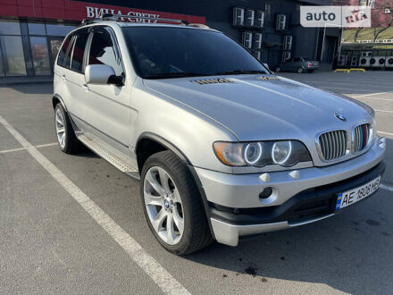 БМВ Х5 2003 в Днепре (Днепропетровске) на Automoto.ua Серый БМВ Х5, объемом двигателя 4.6 л и пробегом 228 тыс. км за 13000 $, фото 1 на Automoto.ua