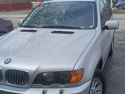 БМВ Х5 2003 в Киеве на Automoto.ua Серый БМВ Х5, объемом двигателя 3 л и пробегом 347 тыс. км за 5400 $, фото 1 на Automoto.ua