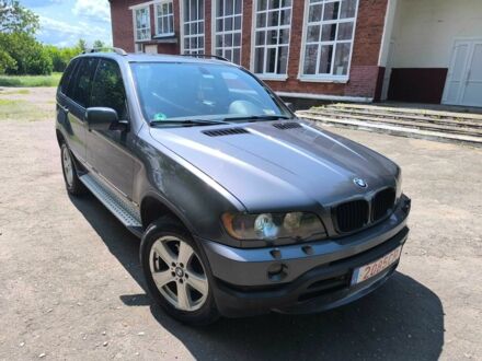 БМВ Х5 2004 в Киеве на Automoto.ua Серый БМВ Х5, объемом двигателя 3 л и пробегом 320 тыс. км за 6853 $, фото 1 на Automoto.ua