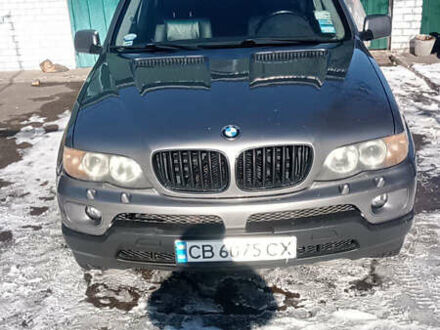 БМВ Х5 2004 в Носовке на Automoto.ua Серый БМВ Х5, объемом двигателя 3 л и пробегом 330 тыс. км за 9000 $, фото 1 на Automoto.ua