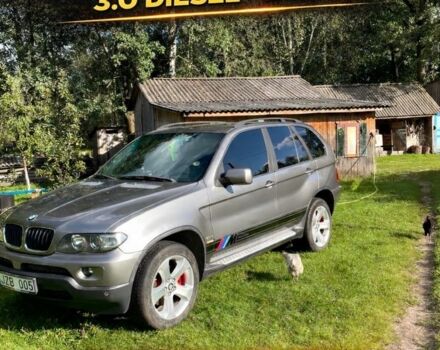 Серый БМВ Х5, объемом двигателя 3 л и пробегом 284 тыс. км за 6300 $, фото 1 на Automoto.ua