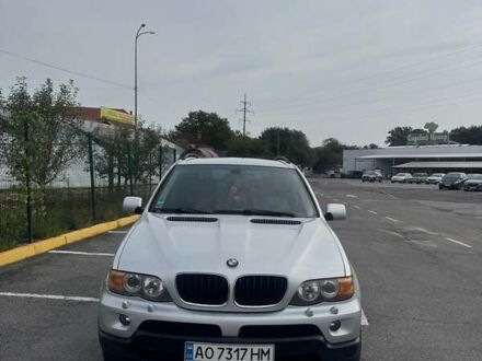 БМВ Х5 2004 в Ужгороде на Automoto.ua Серый БМВ Х5, объемом двигателя 3 л и пробегом 260 тыс. км за 11500 $, фото 1 на Automoto.ua