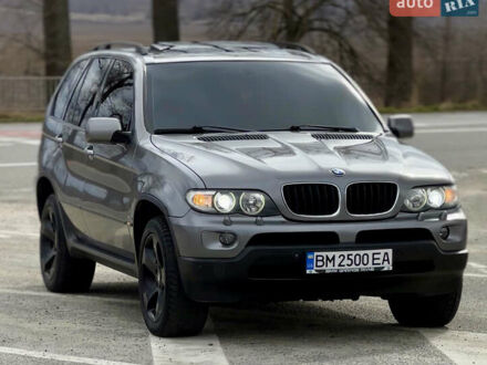 БМВ Х5 2004 у Ромнах на Automoto.ua Сірий БМВ Х5, об'ємом двигуна 3 л та пробігом 342 тис. км за 11900 $, фото 1 на Automoto.ua
