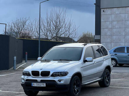 БМВ Х5 2004 у Києві на Automoto.ua Сірий БМВ Х5, об'ємом двигуна 4.4 л та пробігом 290 тис. км за 8500 $, фото 1 на Automoto.ua