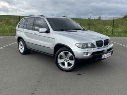 Серый БМВ Х5, объемом двигателя 3 л и пробегом 309 тыс. км за 11999 $, фото 1 на Automoto.ua