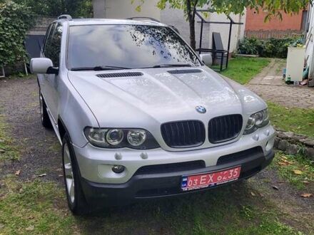 БМВ Х5 2005 у Володимир-Волинський на Automoto.ua Сірий БМВ Х5, об'ємом двигуна 3 л та пробігом 300 тис. км за 14200 $, фото 1 на Automoto.ua