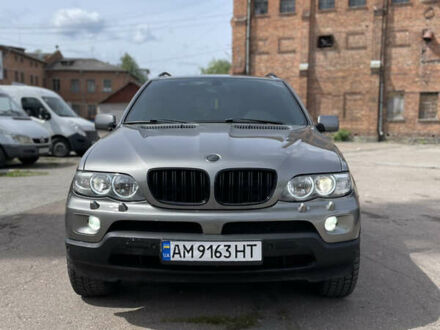 Сірий БМВ Х5, об'ємом двигуна 3 л та пробігом 380 тис. км за 11999 $, фото 1 на Automoto.ua