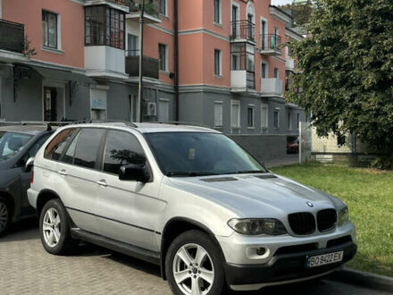 БМВ Х5 2005 в Тернополе на Automoto.ua Серый БМВ Х5, объемом двигателя 3 л и пробегом 415 тыс. км за 8300 $, фото 1 на Automoto.ua