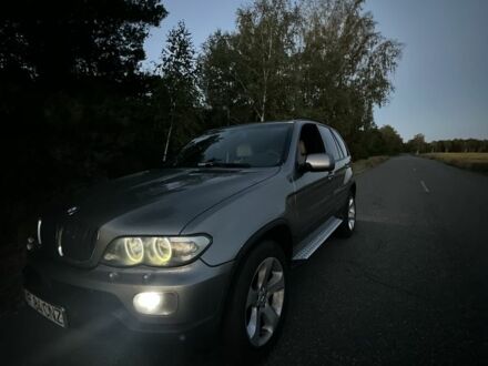 БМВ Х5 2006 у Вышгороде на Automoto.ua Сірий БМВ Х5, об'ємом двигуна 3 л та пробігом 320 тис. км за 7000 $, фото 1 на Automoto.ua