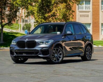 Сірий БМВ Х5, об'ємом двигуна 0 л та пробігом 31 тис. км за 28700 $, фото 1 на Automoto.ua