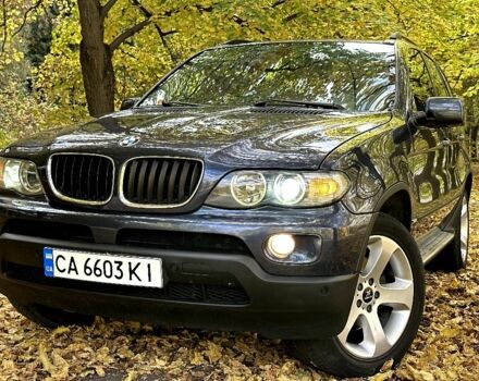 Синий БМВ Х5, объемом двигателя 3 л и пробегом 340 тыс. км за 9500 $, фото 10 на Automoto.ua