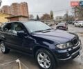 Синій БМВ Х5, об'ємом двигуна 2.93 л та пробігом 274 тис. км за 9950 $, фото 6 на Automoto.ua