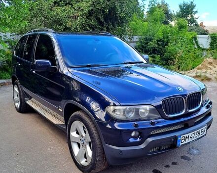Синий БМВ Х5, объемом двигателя 3 л и пробегом 343 тыс. км за 12300 $, фото 1 на Automoto.ua