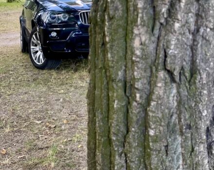 Синий БМВ Х5, объемом двигателя 3 л и пробегом 302 тыс. км за 17390 $, фото 17 на Automoto.ua