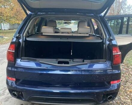Синий БМВ Х5, объемом двигателя 3 л и пробегом 253 тыс. км за 18300 $, фото 15 на Automoto.ua
