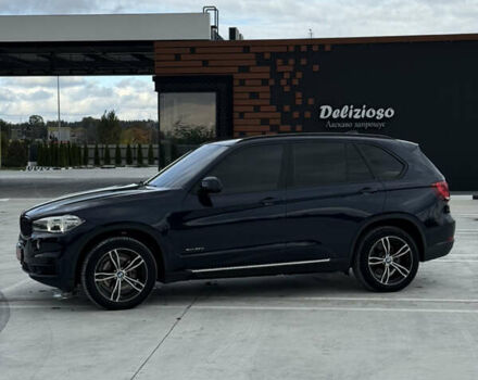 Синий БМВ Х5, объемом двигателя 3 л и пробегом 250 тыс. км за 24900 $, фото 3 на Automoto.ua