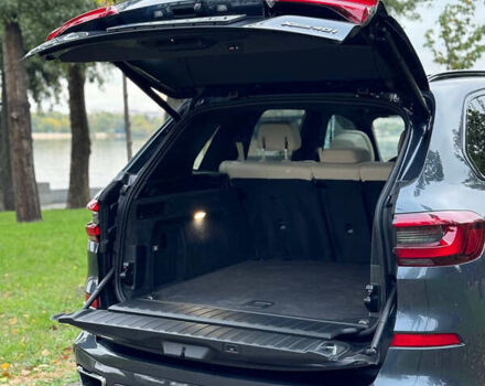 Синий БМВ Х5, объемом двигателя 3 л и пробегом 47 тыс. км за 66000 $, фото 5 на Automoto.ua