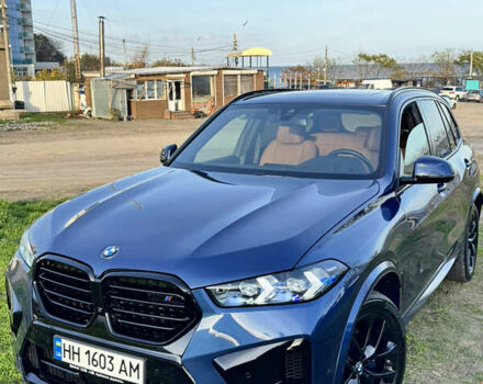 Синий БМВ Х5, объемом двигателя 3 л и пробегом 45 тыс. км за 67000 $, фото 15 на Automoto.ua