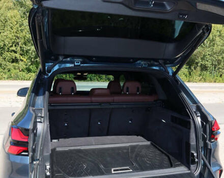 Синий БМВ Х5, объемом двигателя 3 л и пробегом 53 тыс. км за 92000 $, фото 17 на Automoto.ua