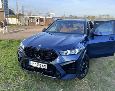 Синий БМВ Х5, объемом двигателя 3 л и пробегом 45 тыс. км за 67000 $, фото 16 на Automoto.ua