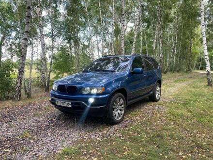 БМВ Х5 2001 в Калинівка на Automoto.ua Синий БМВ Х5, объемом двигателя 3 л и пробегом 350 тыс. км за 8200 $, фото 1 на Automoto.ua