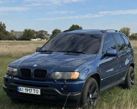 Синий БМВ Х5, объемом двигателя 3 л и пробегом 400 тыс. км за 7426 $, фото 1 на Automoto.ua