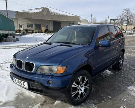 Синий БМВ Х5, объемом двигателя 2.93 л и пробегом 376 тыс. км за 8200 $, фото 1 на Automoto.ua
