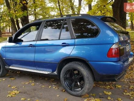 БМВ Х5 2003 в Великом Березном на Automoto.ua Синий БМВ Х5, объемом двигателя 3 л и пробегом 430 тыс. км за 8000 $, фото 1 на Automoto.ua