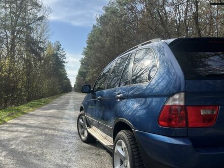 БМВ Х5 2003 у Иванкове на Automoto.ua Синій БМВ Х5, об'ємом двигуна 3 л та пробігом 250 тис. км за 4500 $, фото 1 на Automoto.ua