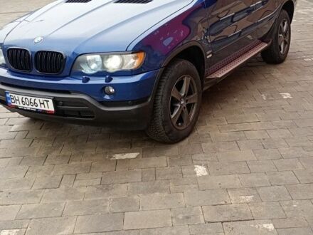 Синий БМВ Х5, объемом двигателя 2.9 л и пробегом 340 тыс. км за 11999 $, фото 1 на Automoto.ua