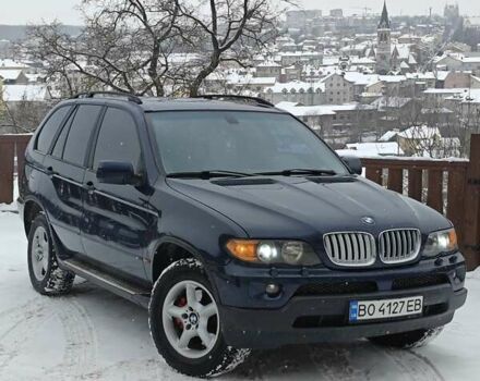 Синий БМВ Х5, объемом двигателя 3 л и пробегом 380 тыс. км за 7999 $, фото 1 на Automoto.ua