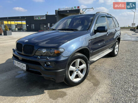 Синий БМВ Х5, объемом двигателя 3 л и пробегом 260 тыс. км за 11500 $, фото 1 на Automoto.ua