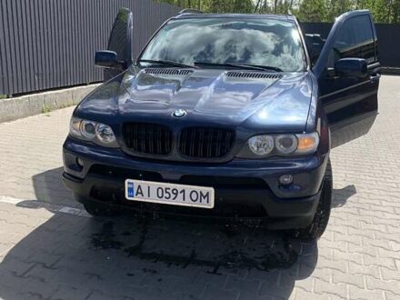 БМВ Х5 2004 в Чернигове на Automoto.ua Синий БМВ Х5, объемом двигателя 2.98 л и пробегом 312 тыс. км за 10000 $, фото 1 на Automoto.ua