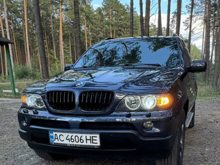 Синий БМВ Х5, объемом двигателя 2.99 л и пробегом 391 тыс. км за 13300 $, фото 1 на Automoto.ua