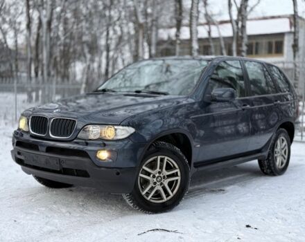 Синий БМВ Х5, объемом двигателя 3 л и пробегом 315 тыс. км за 6550 $, фото 1 на Automoto.ua