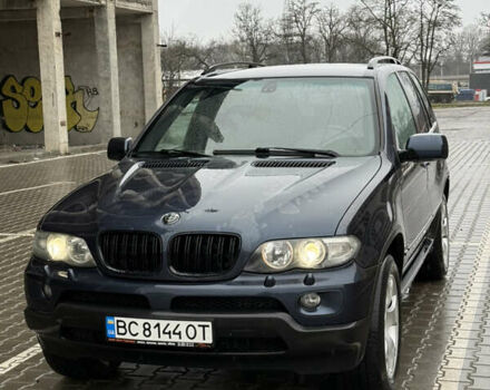 Синий БМВ Х5, объемом двигателя 2.99 л и пробегом 293 тыс. км за 11500 $, фото 1 на Automoto.ua