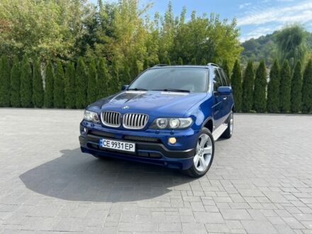 Синій БМВ Х5, об'ємом двигуна 3 л та пробігом 316 тис. км за 11500 $, фото 1 на Automoto.ua